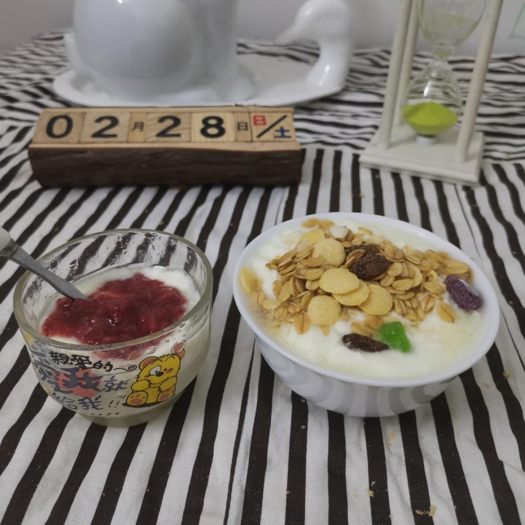奶粉和酸奶机自制酸奶