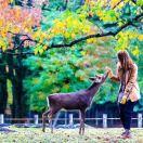 手机用户3456_3wvp