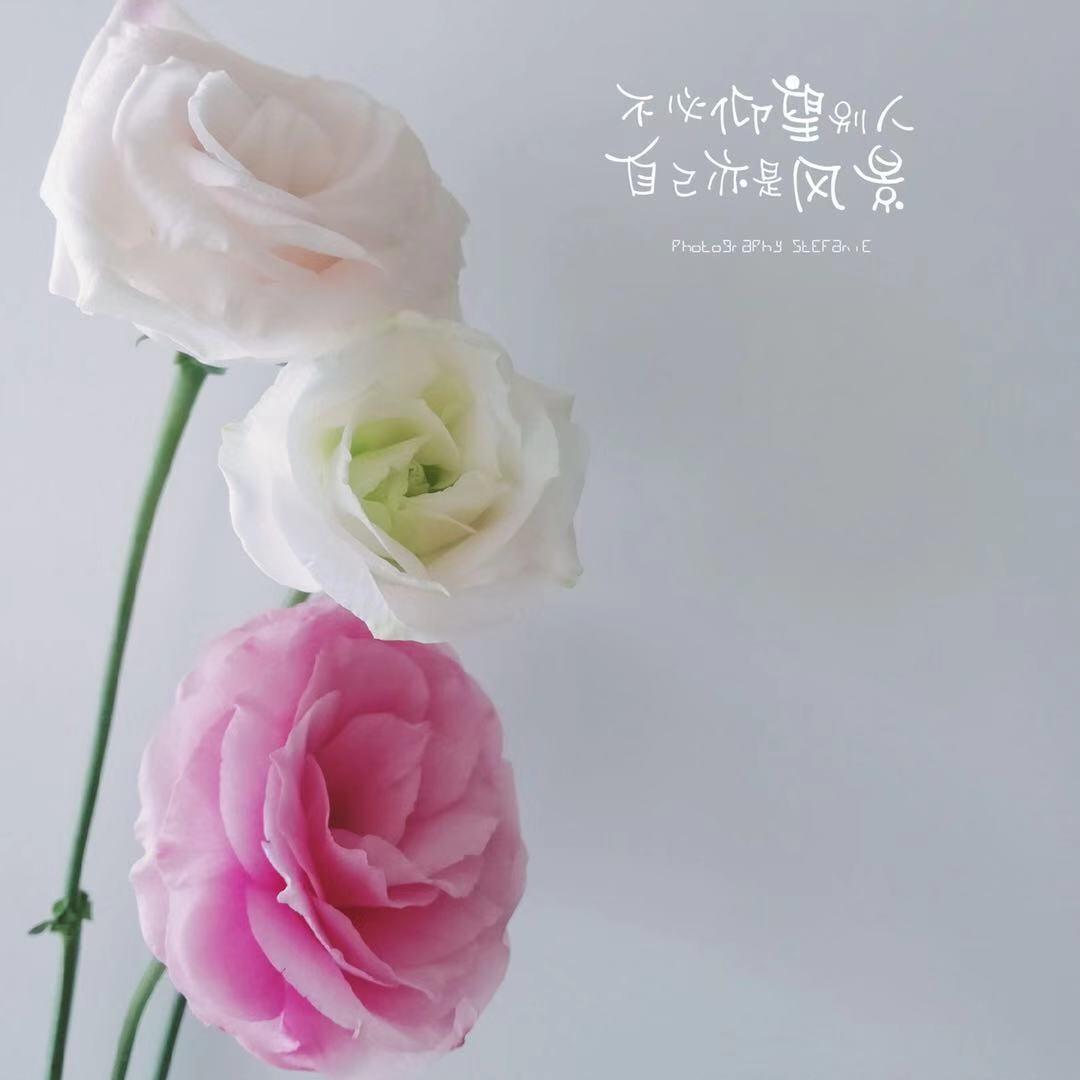 花儿888999