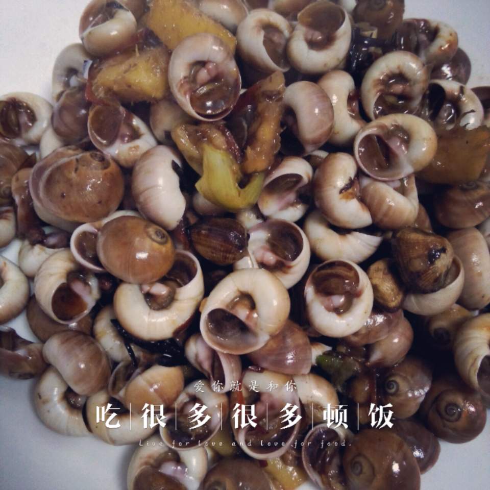 酱爆海螺
