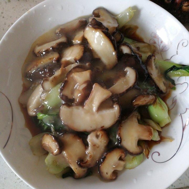 蚝油香菇上海青