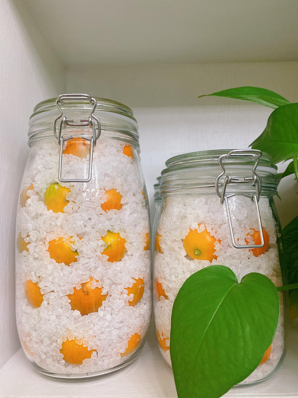 老中医推荐的止咳化痰咸金桔