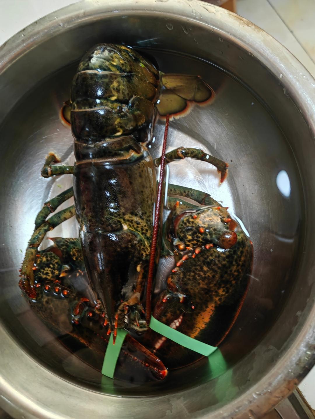 蒸大龙虾🦞蒜蓉大龙虾🦞