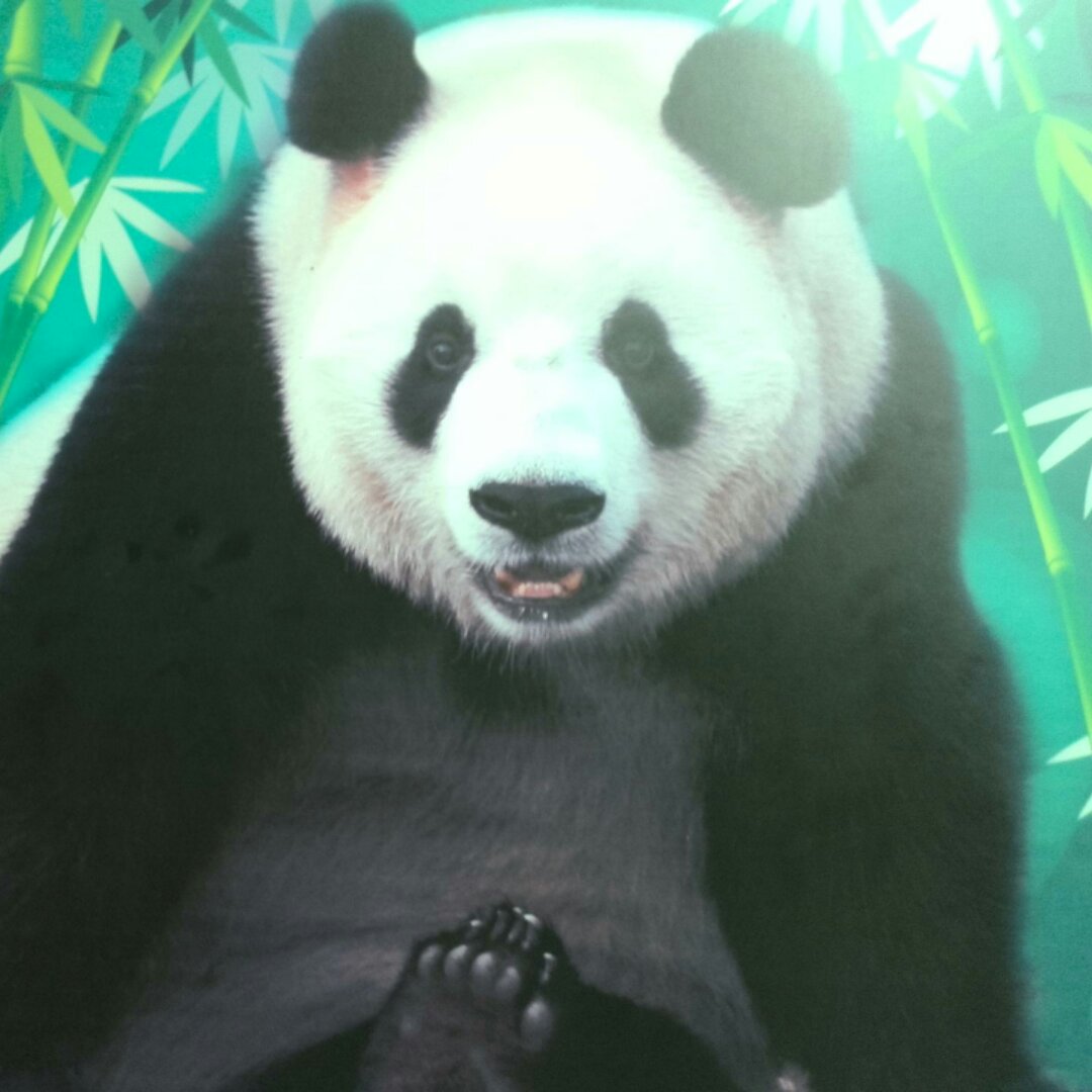 桃子李子和妙子