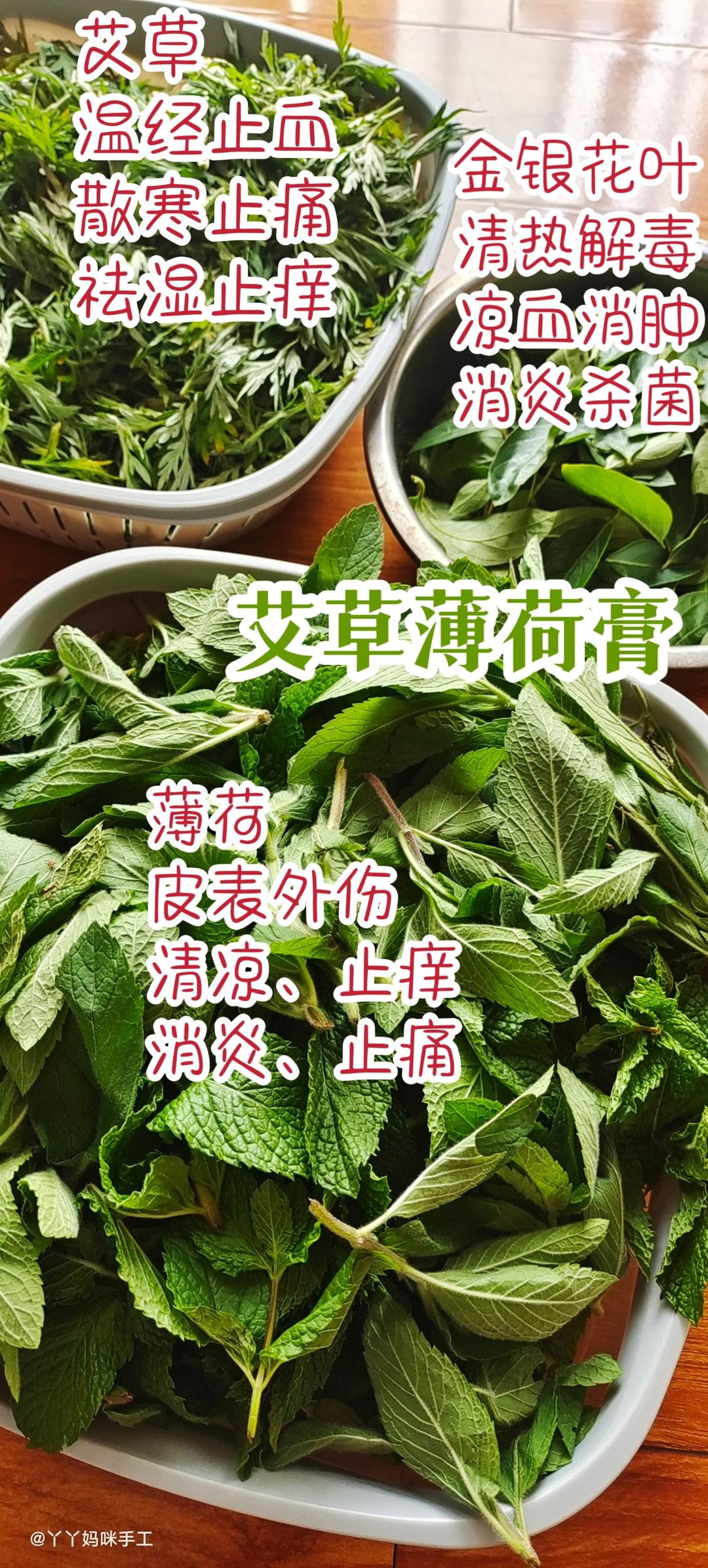 艾草薄荷膏