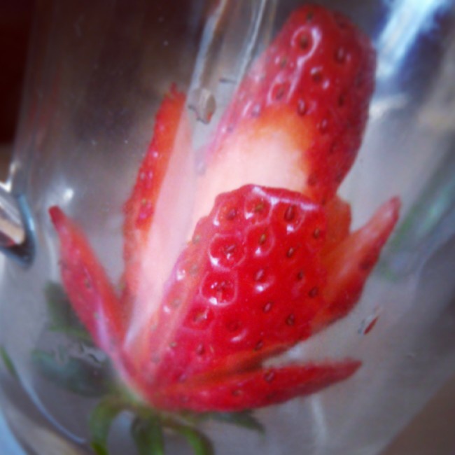 草莓玫瑰花