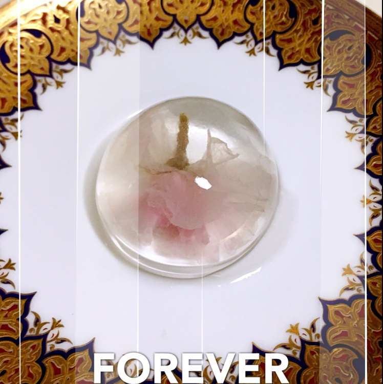 日本最温柔的梦幻和菓子 — 水信玄饼