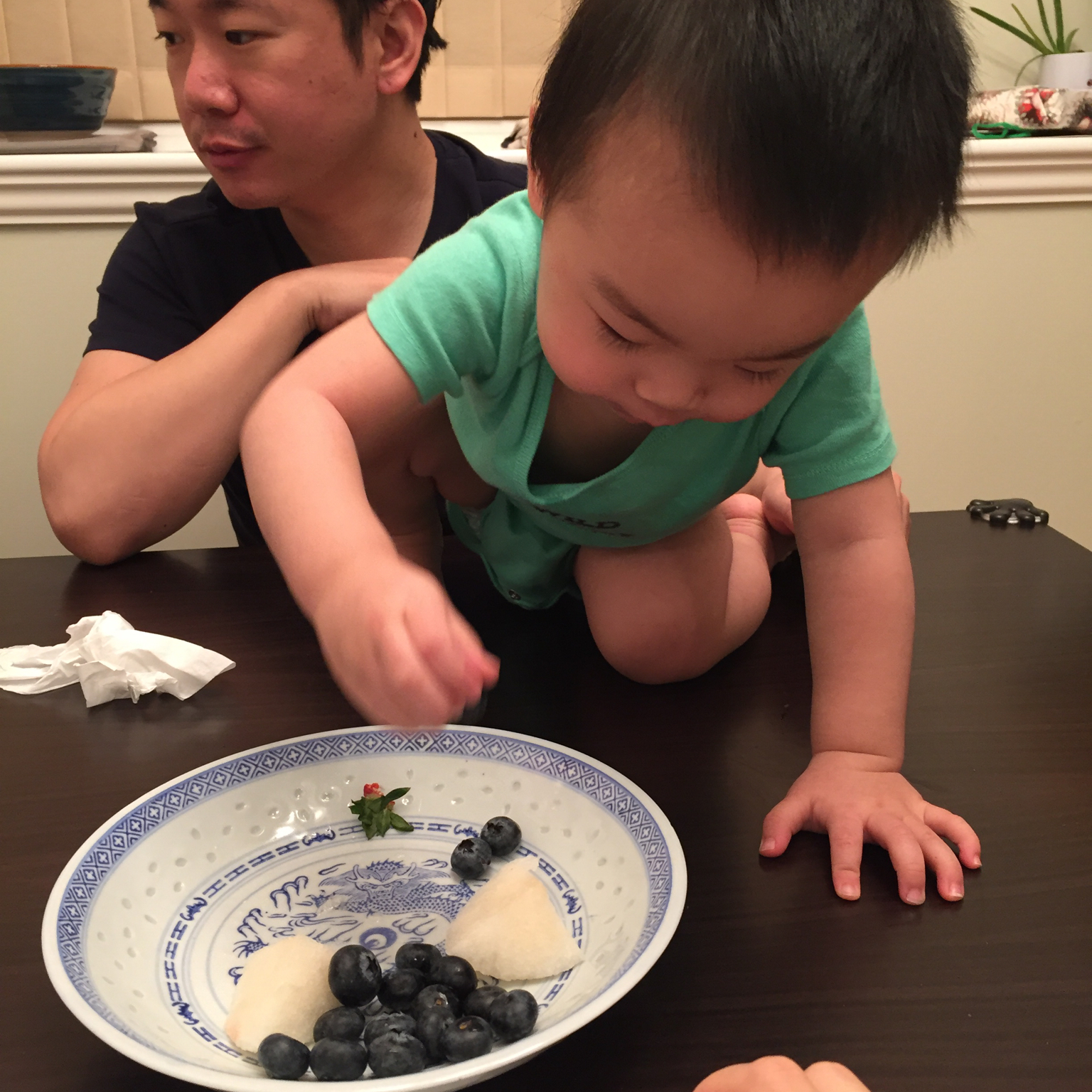 Ollie的辅食