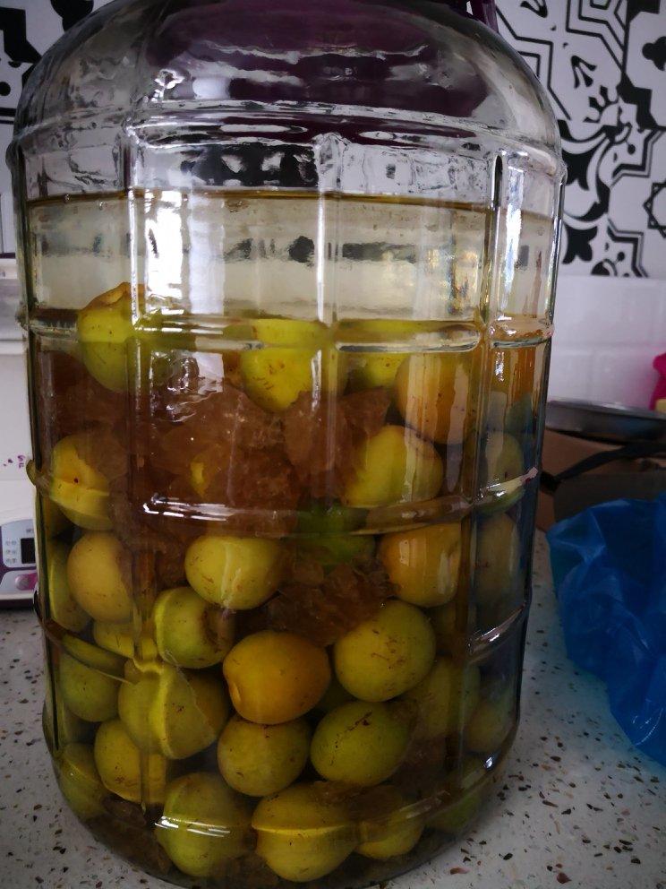 【青梅酒】梅子的沉醉时光（已填坑）