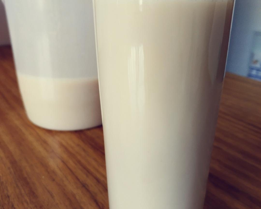 香浓红枣花生黄豆浆