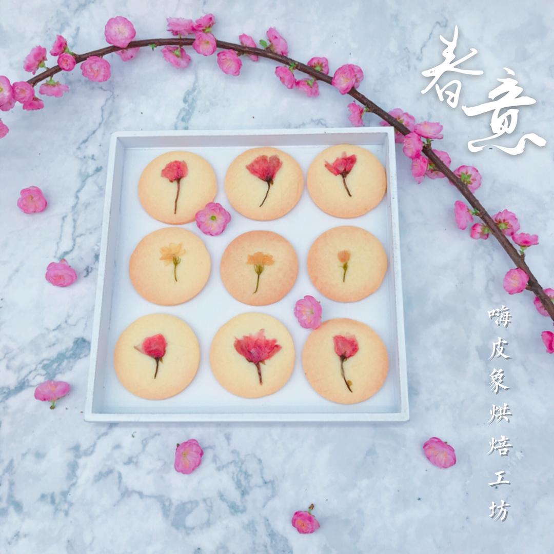 春日樱花薄曲奇饼干