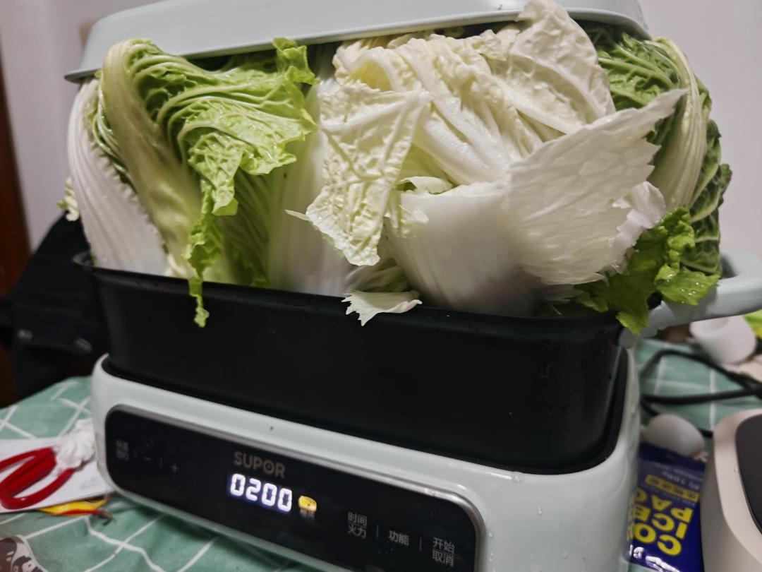 老济南酥锅（方子没毛病，不喜勿喷，不喜勿做！）