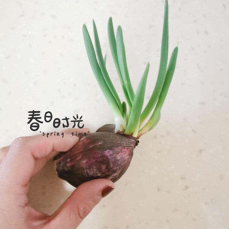 新疆烤馕