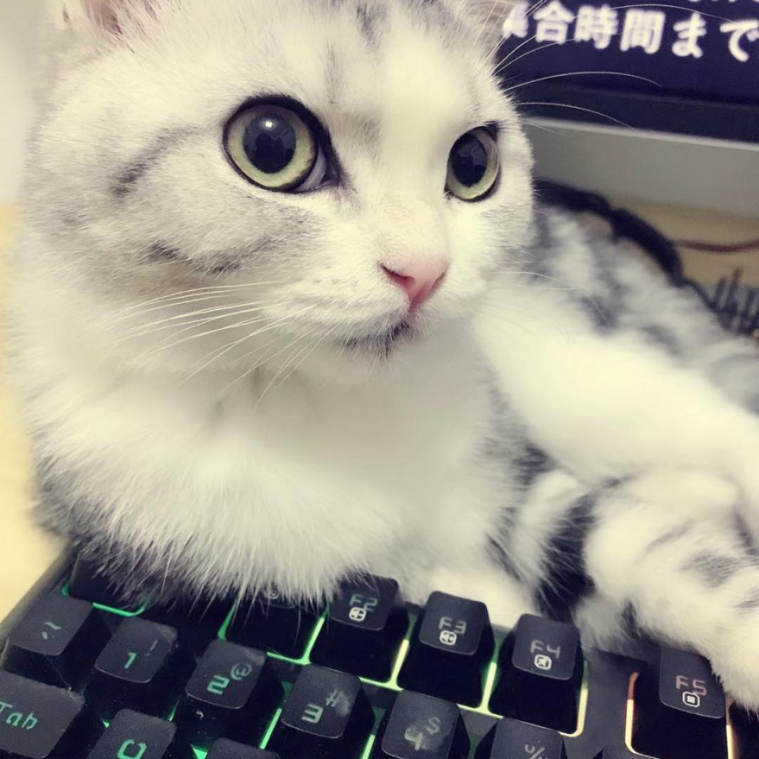 刘大碎嘴