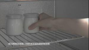 酸奶的6种做法的做法 步骤12