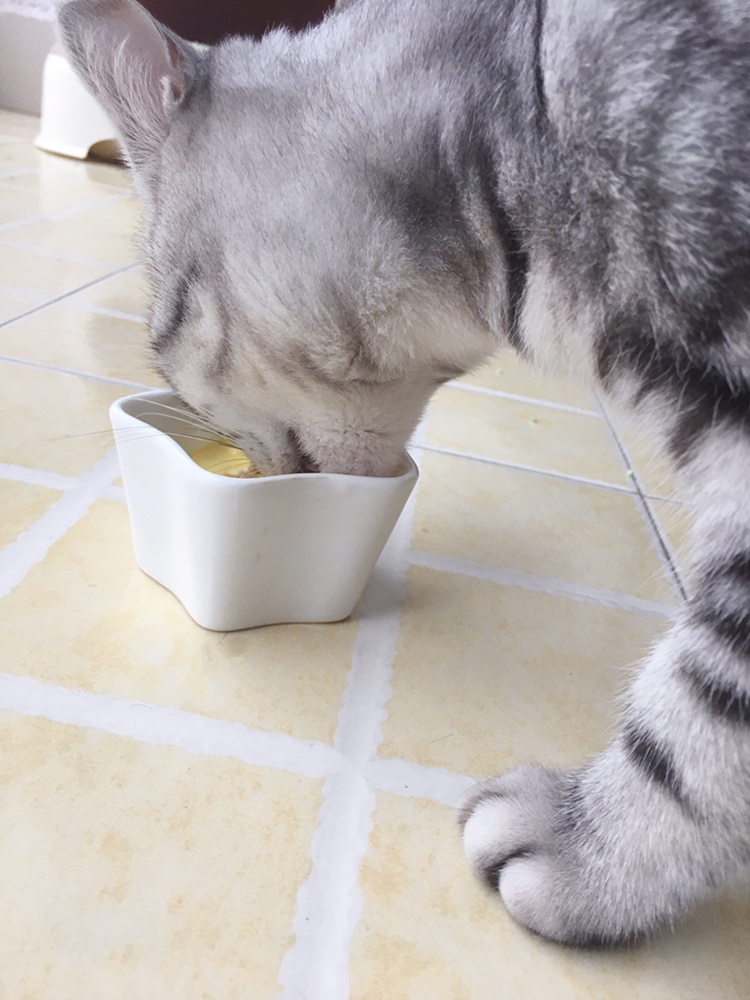 猫咪零食·羊奶布丁的做法 步骤5
