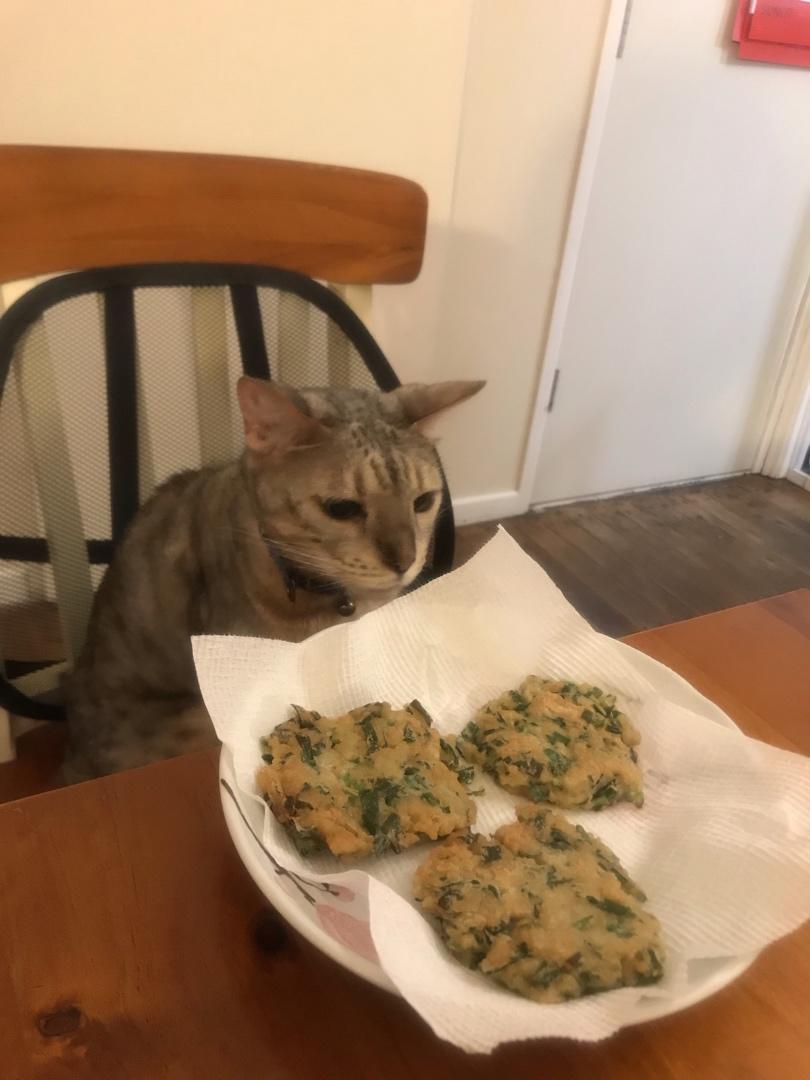 虾仁韭菜饼·零失败💯