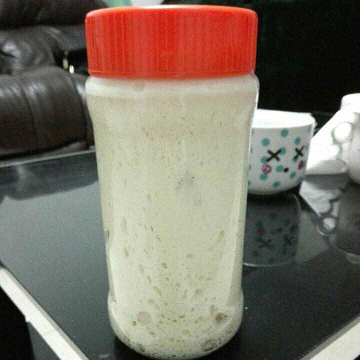 天然酵母宝宝养成记