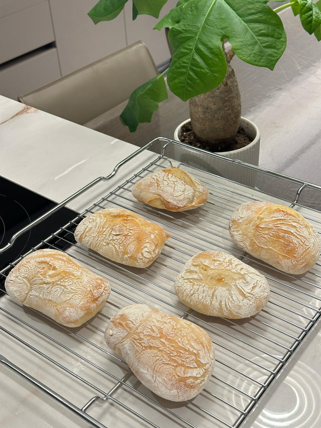 恰巴塔面包  Ciabatta