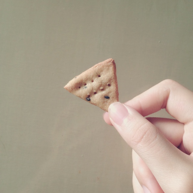 超脆全麦苏打饼干（无油脂）