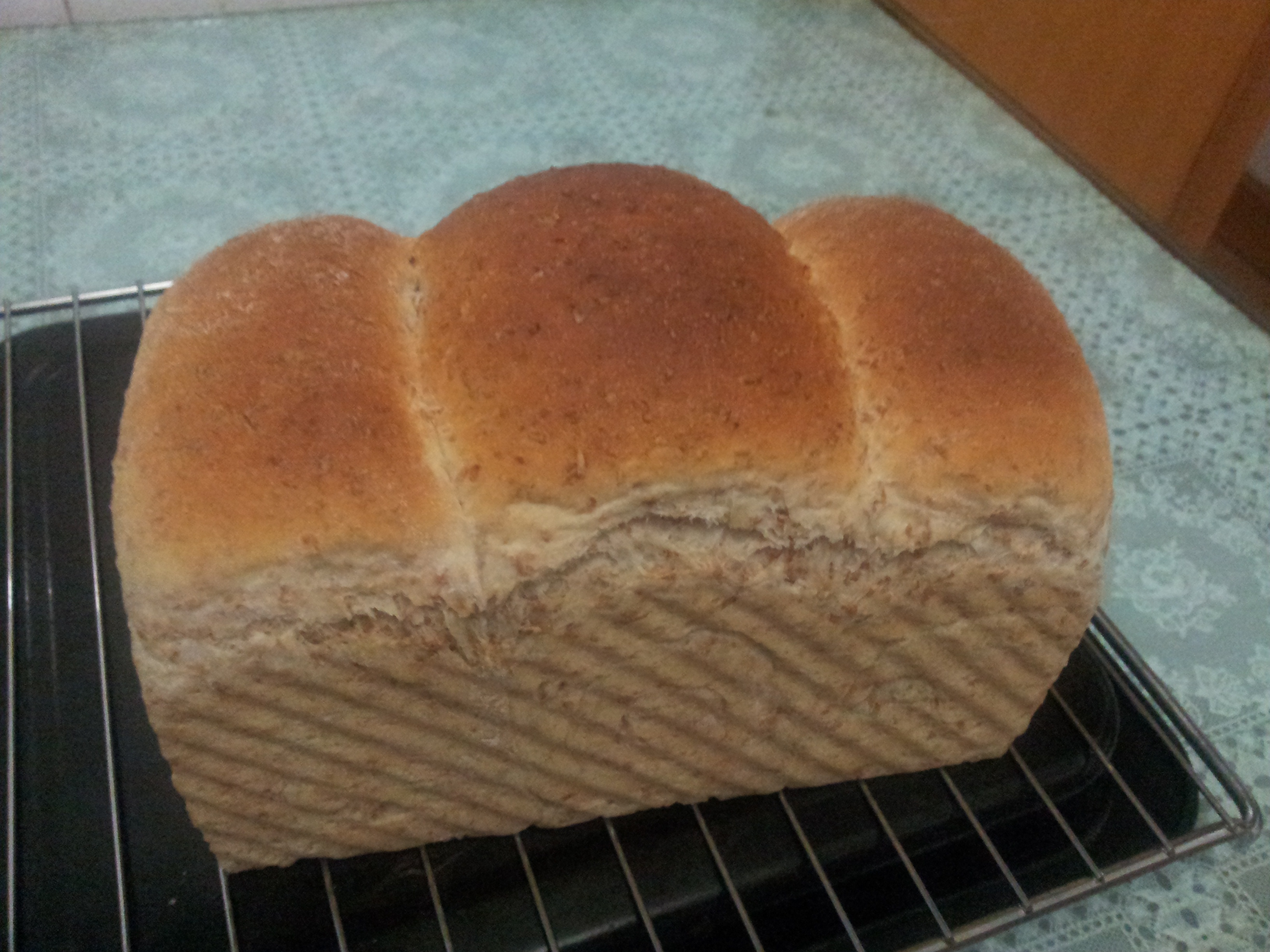 全麦吐司（含麸皮）