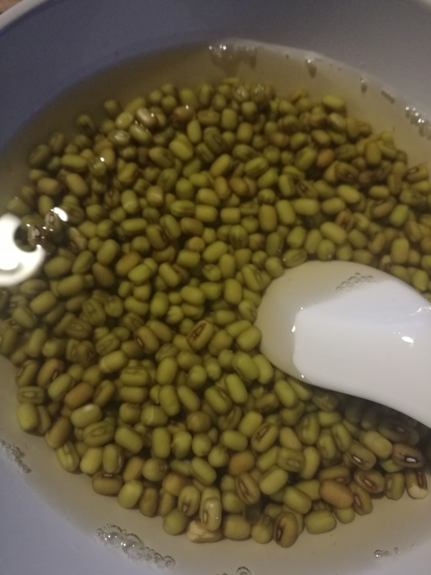 生绿豆芽的做法 步骤1