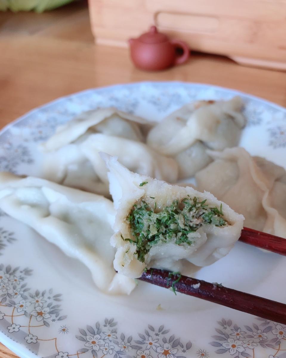 茴香猪肉饺子