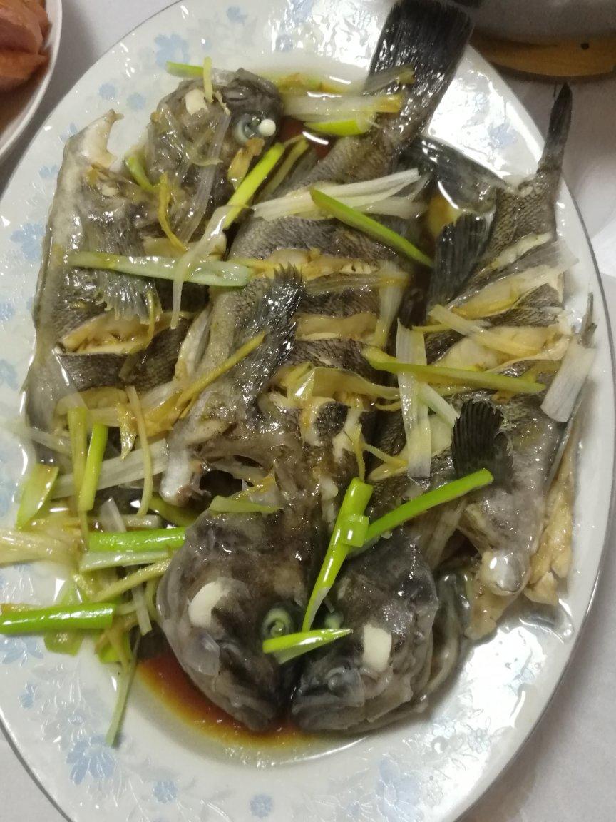 清蒸鲤鱼(鲈鱼，草鱼，黑鱼，各种鱼)