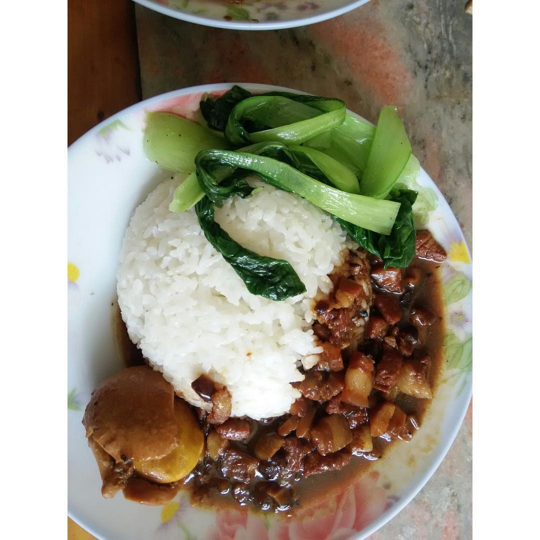 洋葱酥卤肉饭