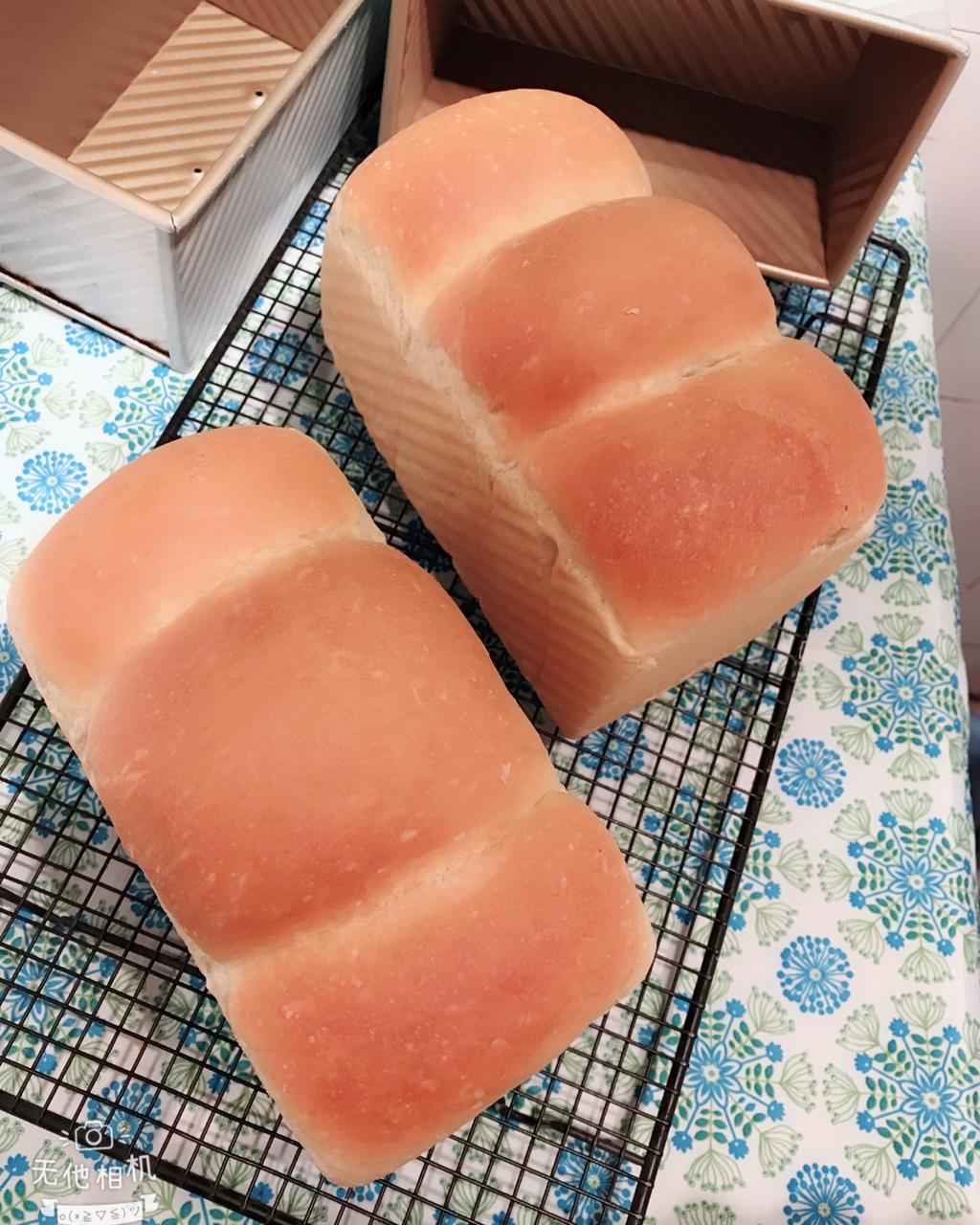 玉米油版一次性发酵吐司