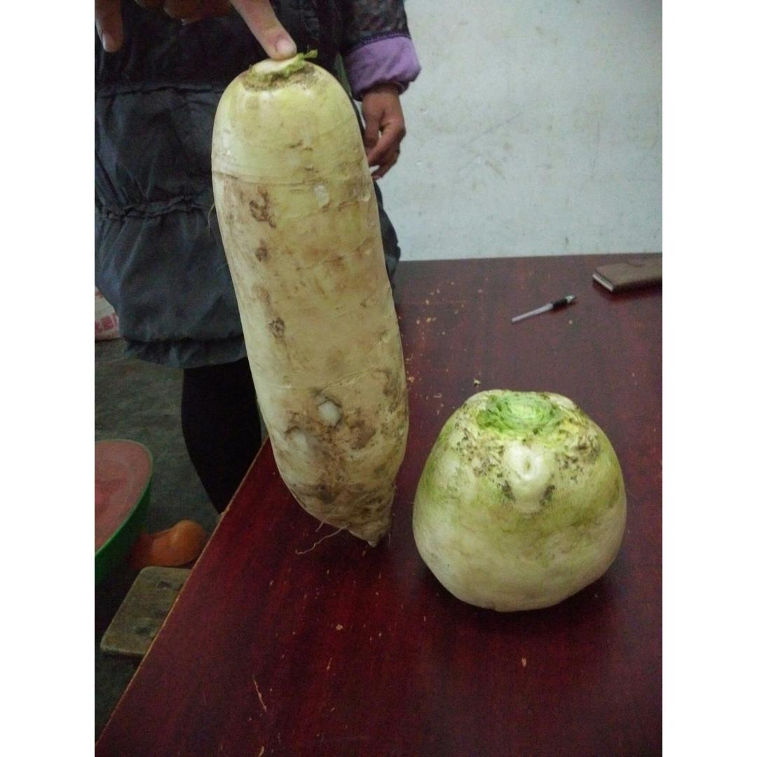 晚餐•2016年12月21日