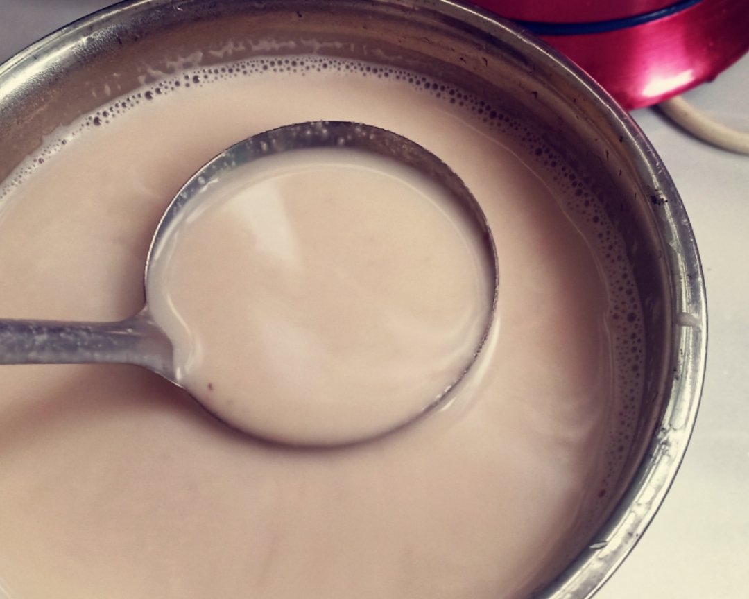 红枣花生牛奶汁（2020.3.2晚）的做法