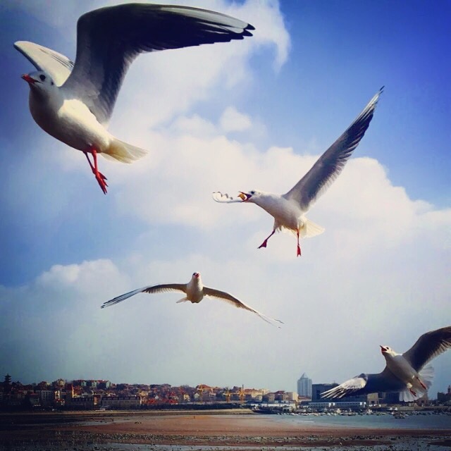 Ling小仙改名叫艾婀娜