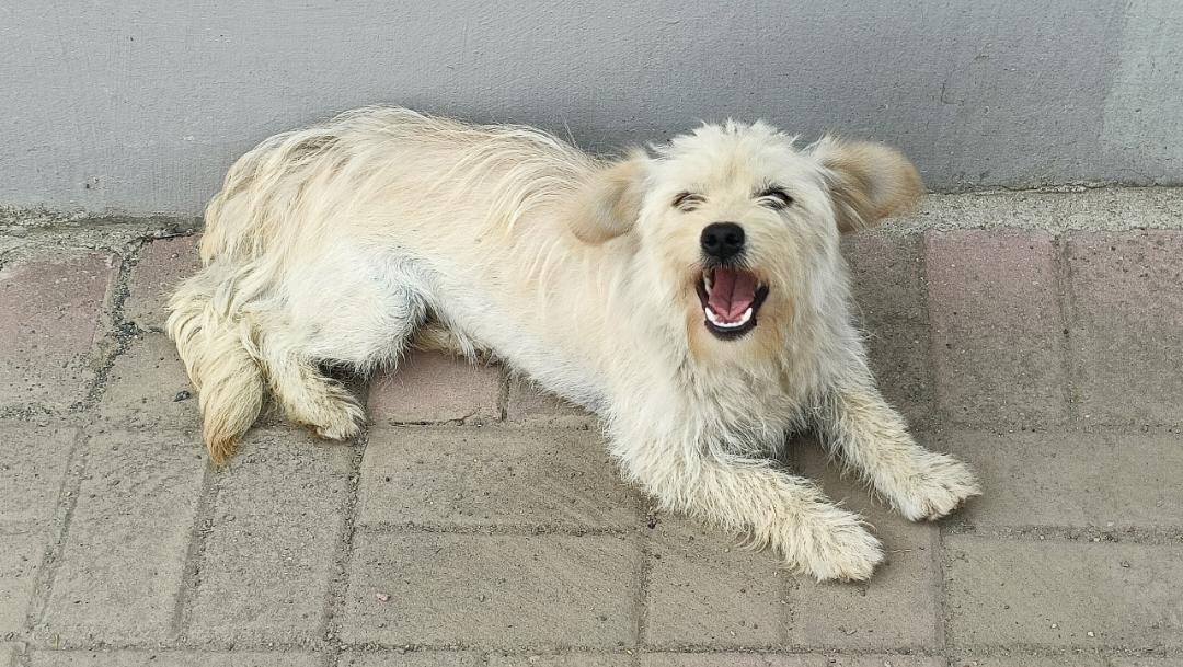 下厨房用户_qzjtb