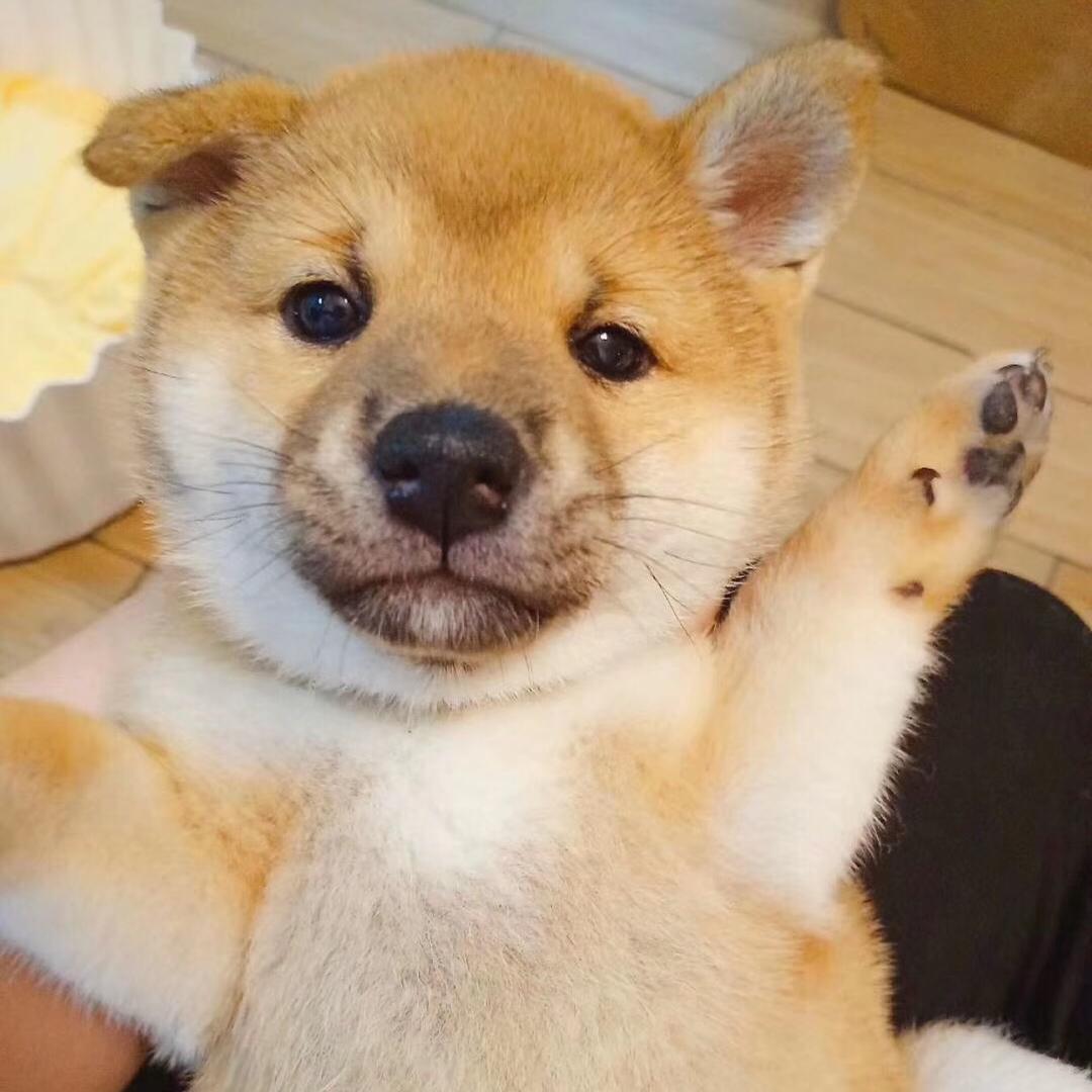 阿旷-
