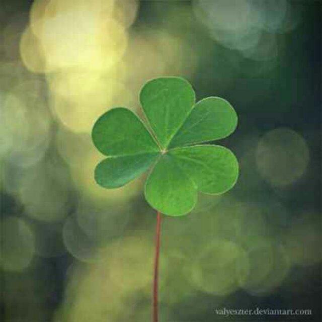 手机用户0096_xb7t