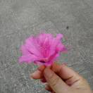 手机用户0914_azp3的厨房