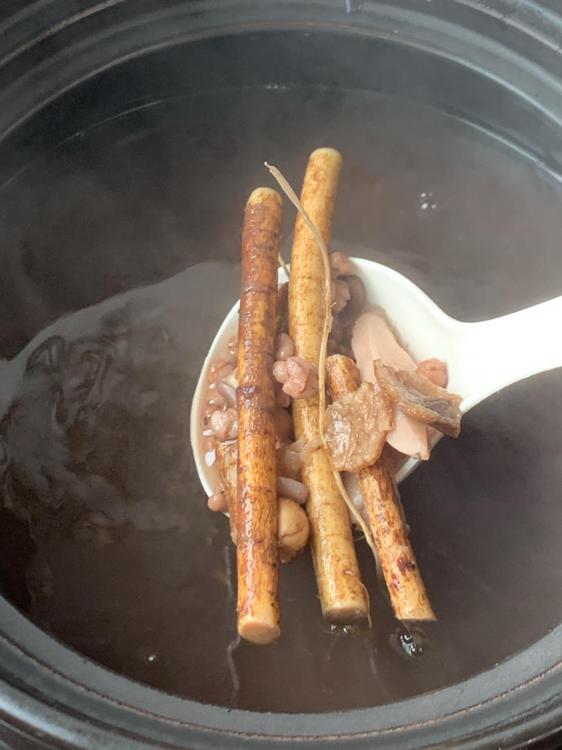 五指毛桃茯苓去湿汤（二）