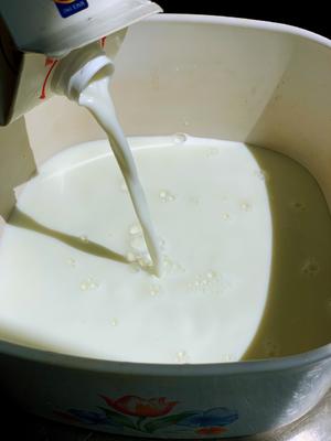传统制法的希腊酸奶（不用酸奶机也能做出味道传统的希腊酸奶）的做法 步骤1