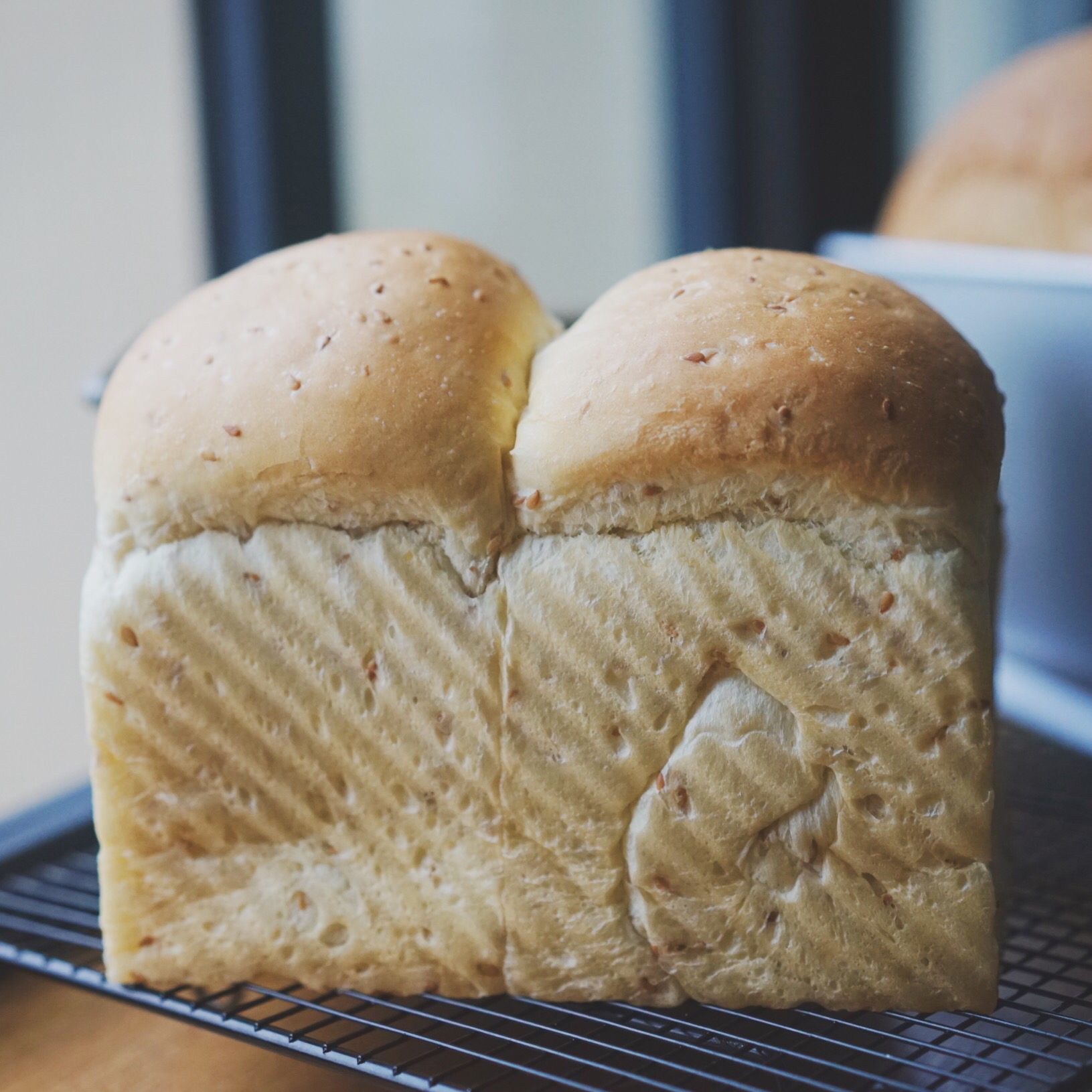 相机吃的菜哦(◍•ᴗ•◍)