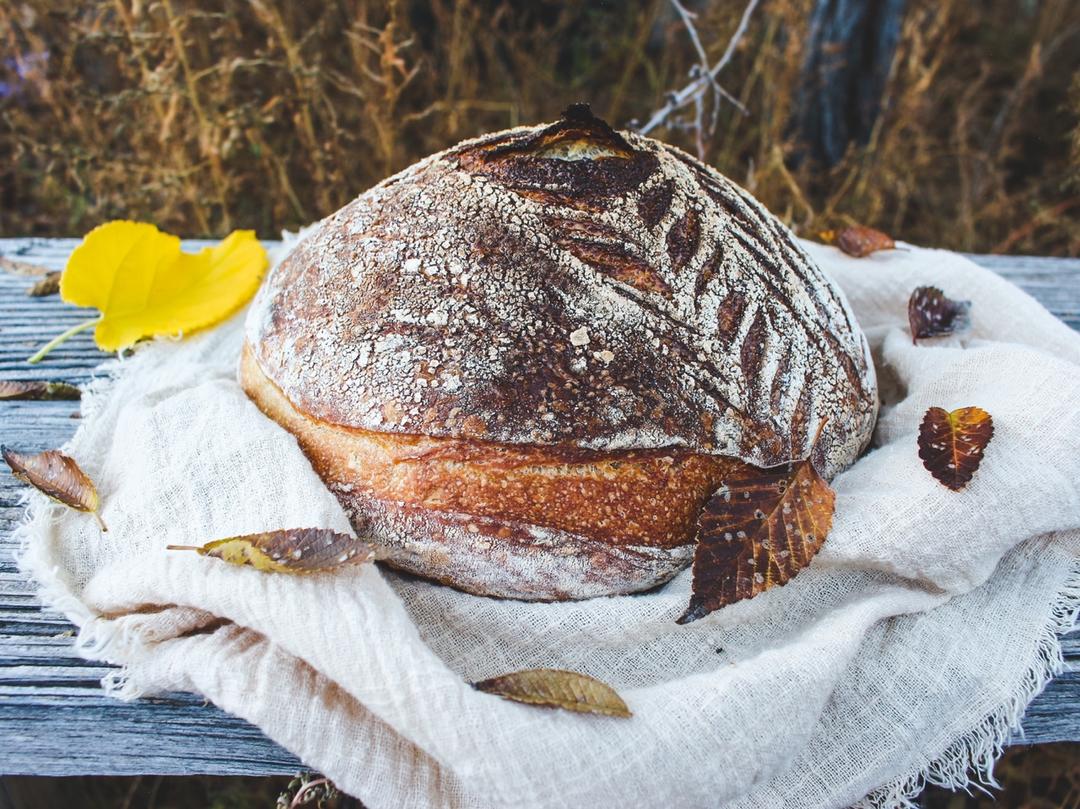 【Tartine Bread】天然酵种基础乡村欧包