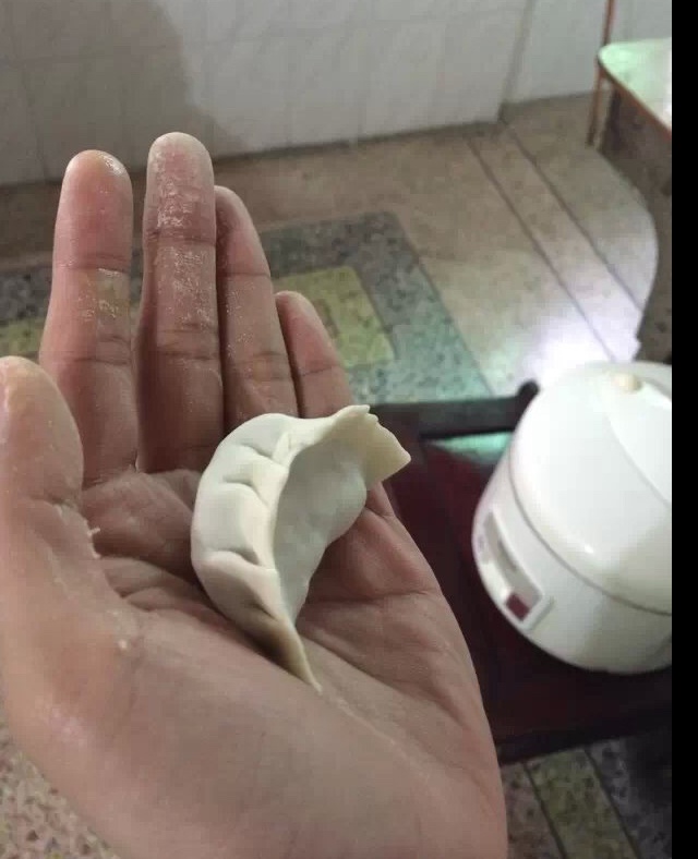 猪肉韭菜饺子