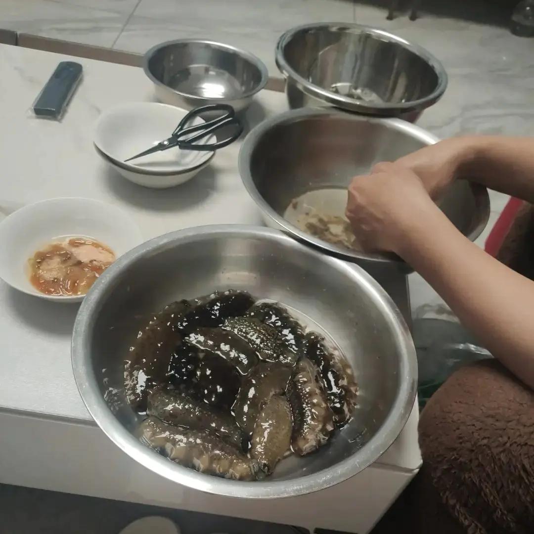 新鲜海参处理保存