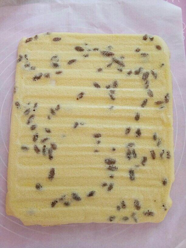 新手也OK喔～瑞士蛋糕卷