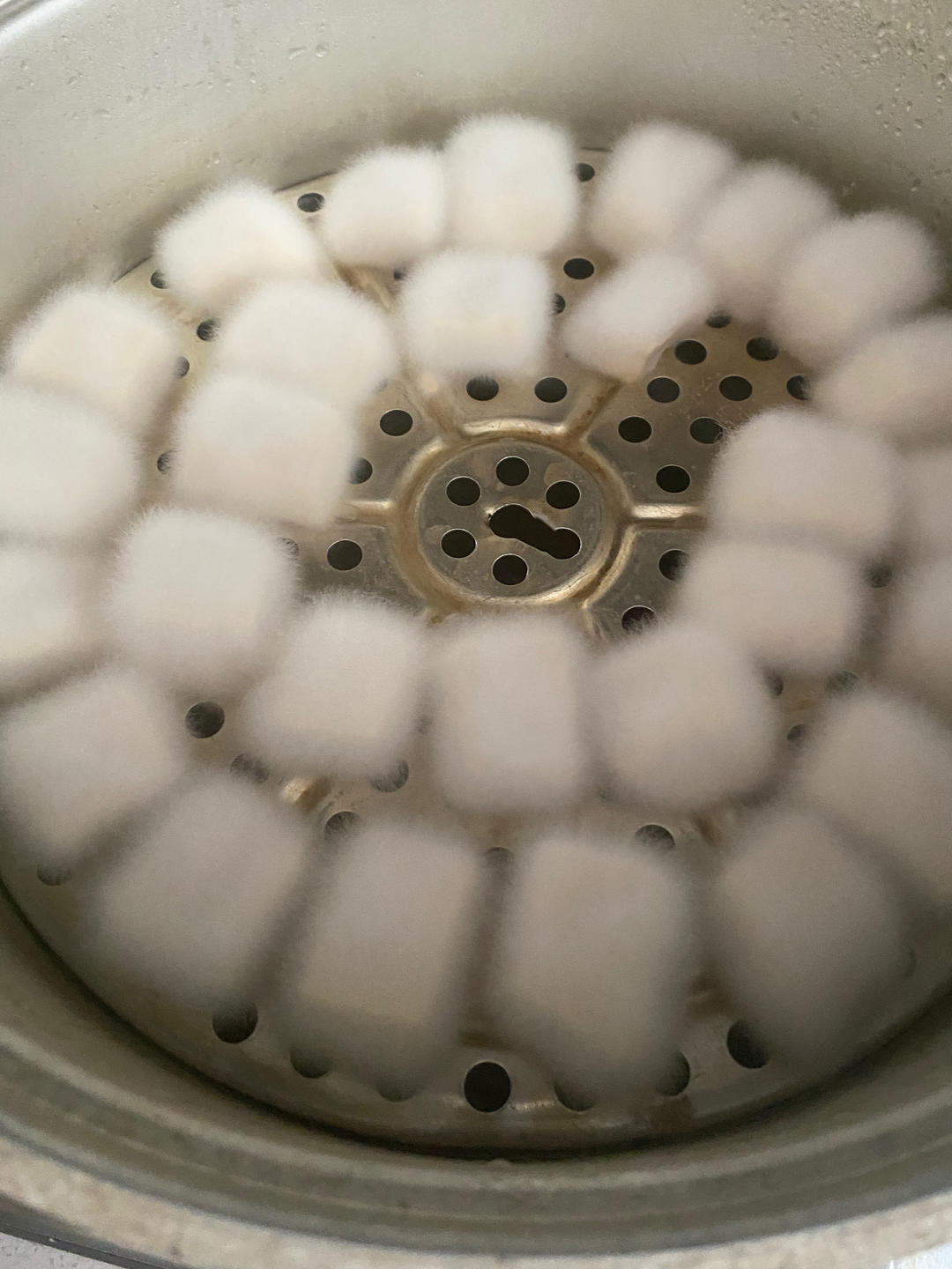 家庭版自制豆腐乳