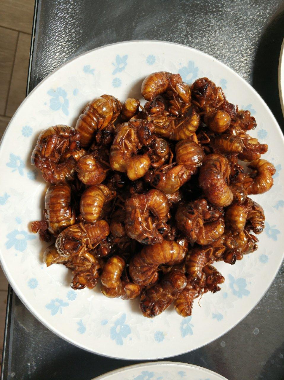 油炸金蝉