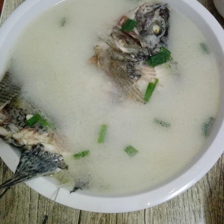 ktle做的奶汤罗非鱼