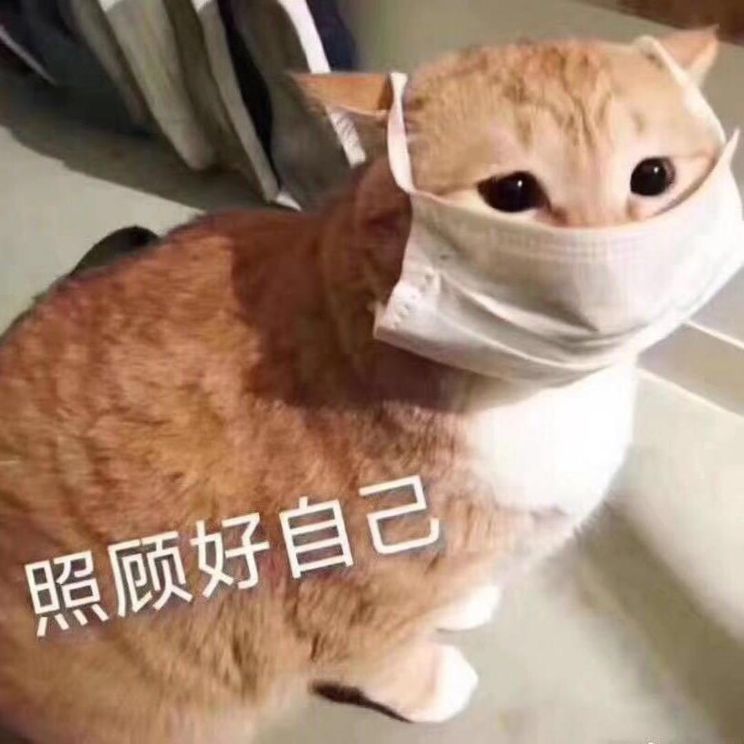 期盼春暖花开时