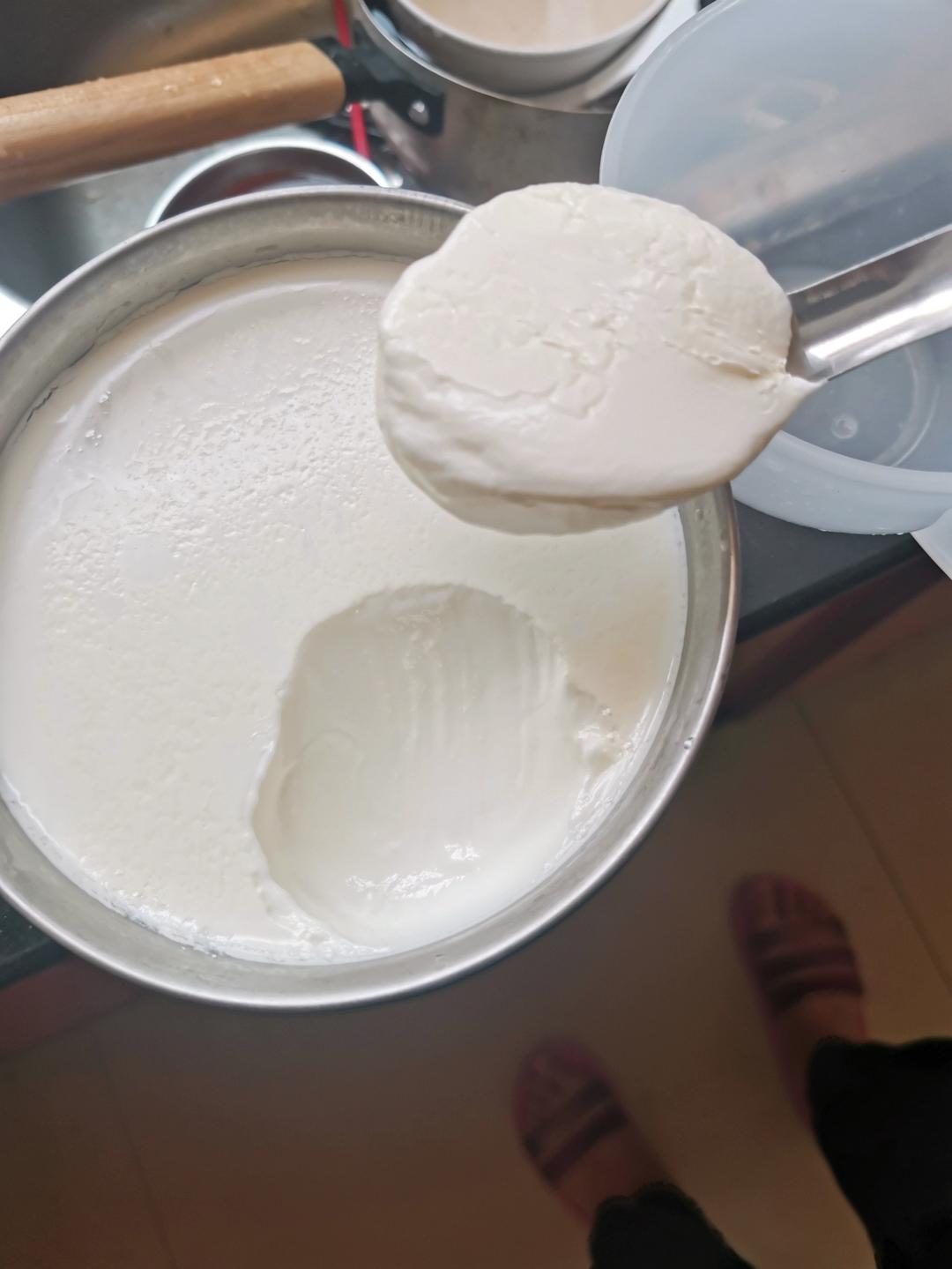 超级好吃的自制酸奶比例！——卡士酸奶在家做