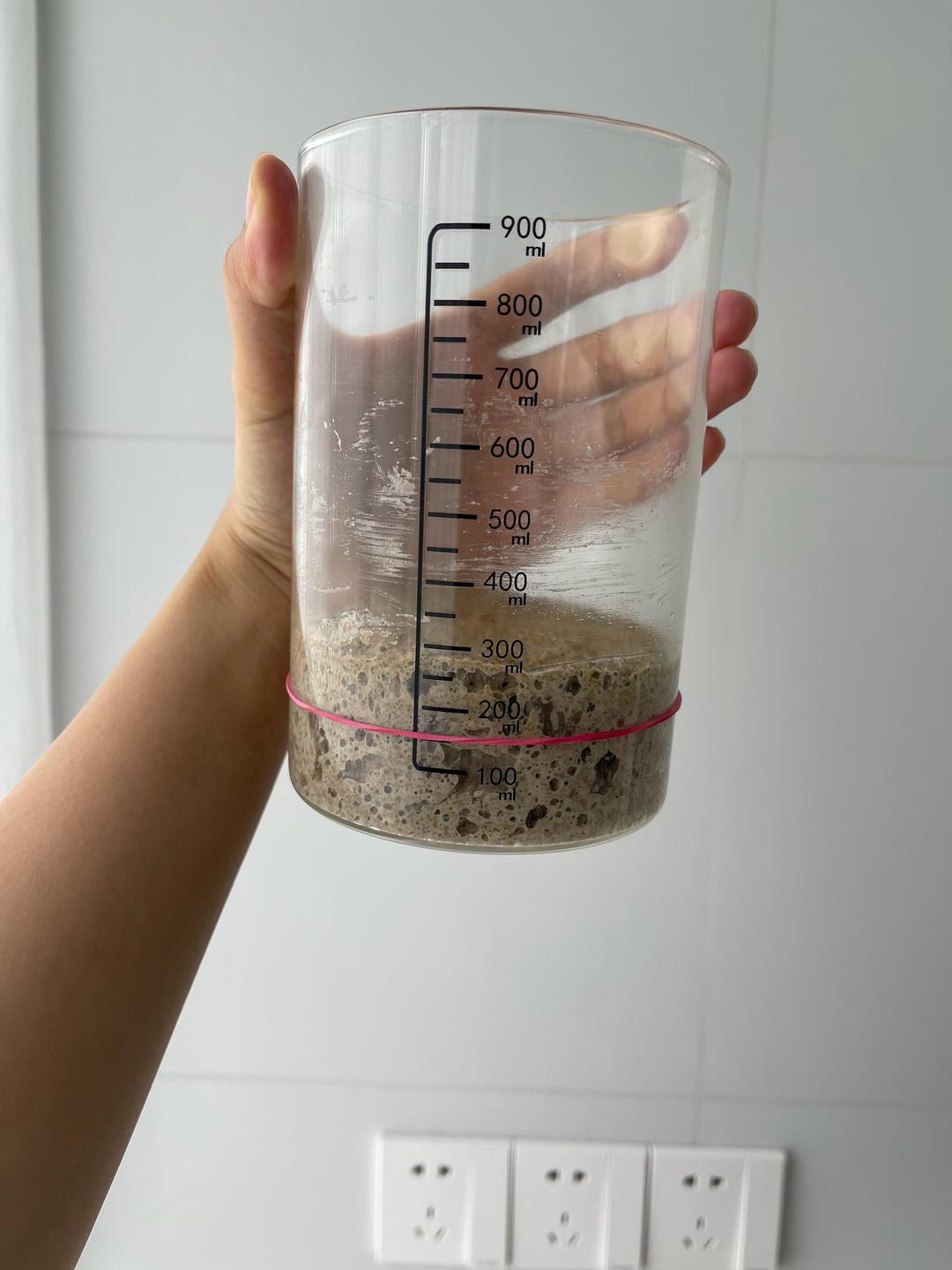 液态鲁邦种/天然酵母/酵种，液态种和硬种转换教程